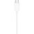 ⁦Apple Earpods USB-C connector⁩ - الصورة ⁦2⁩